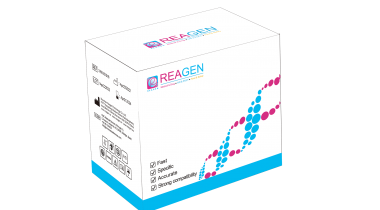 HemaFus PML-RARA融合基因bcr1型定量檢測(cè)試劑盒 （PCR-熒光探針法）